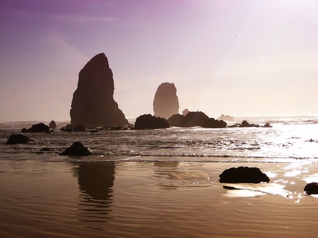 Photograph of the evening sun reflecting off smooth rippling waves. The ocean is a mirror of luminous golden light surrounding a clump steep dark rocks and islands. The silhouette of a sea bird can be seen perched on top of a medium-sized rock. Above the sky is a soft golden pink that shades into purplish blue.